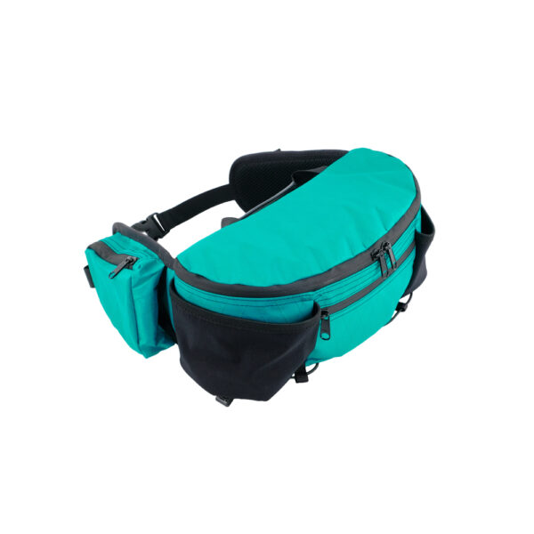 ULA Burst Waist Pack in VX21 Teal