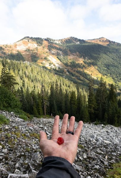 An outstretched hand holds a single raspberry with a mountain view beyond his outstretched fingers