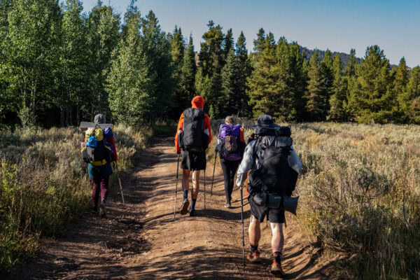 Four backpackers, all wearing ULA packs head down a trail and into the Montana wilderness.