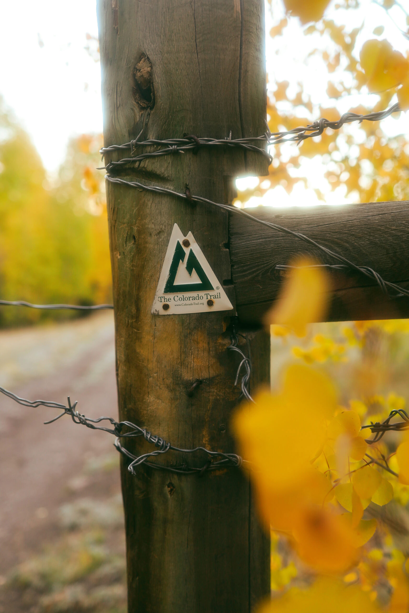 A Colorado Trail marker