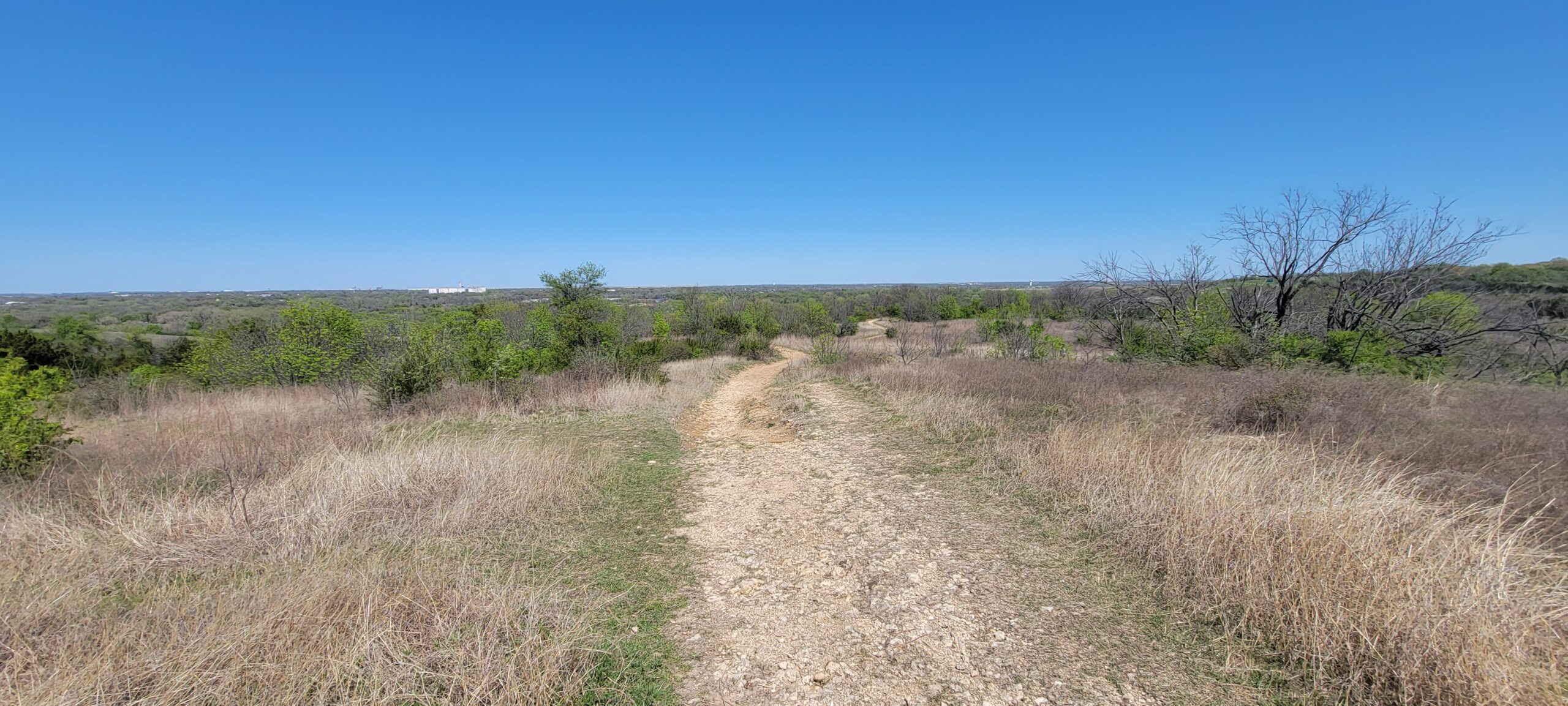 A flat natural area