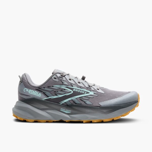 Brooks cascadia 19 shoes